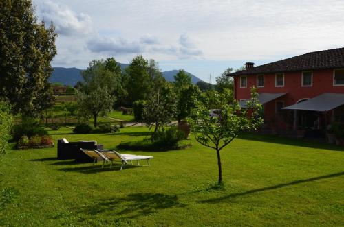 um quintal com um sofá, uma mesa e uma árvore em Agriturismo Al Podere Di Rosa em Sant' Alessio