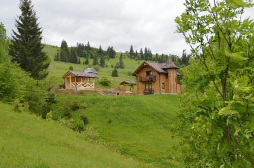 una casa en una colina en un campo verde en Пагорб Їжака / Hedgehog Hill, en Yablunytsya