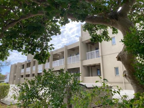 an apartment building with a tree in front of it at Scallop Beach Condominium in Onna