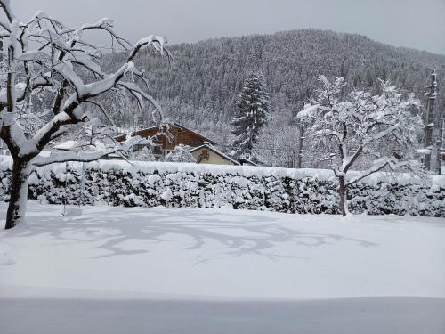 vista monte iarna