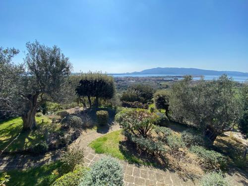 un giardino con alberi e cespugli su una collina di Casa ai Poggi dell'Argentario a Orbetello