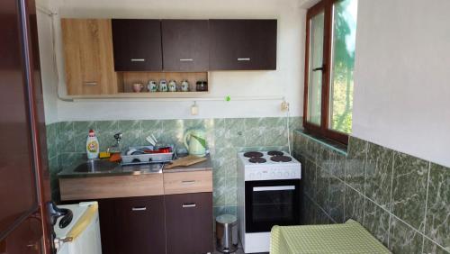 una piccola cucina con piano cottura e lavandino di Apartman Tešović a Kotor (Cattaro)