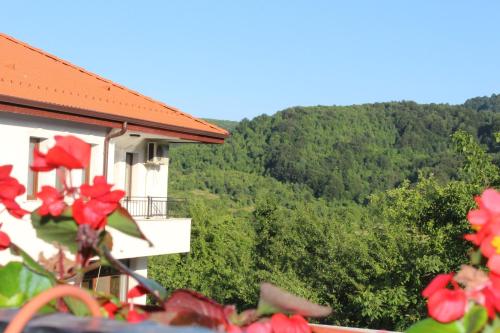 ein Haus mit roten Blumen vor einem Berg in der Unterkunft Бадевски рай- къща София in Weliko Tarnowo