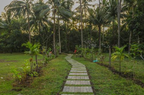 ścieżka w środku pola z palmami w obiekcie Lendang Eco Lodge w mieście Senggigi