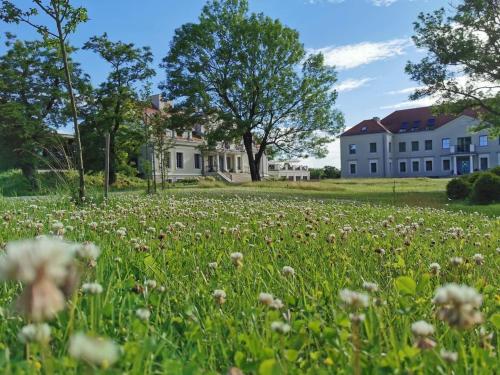 Dārzs pie naktsmītnes Herbarium Hotel & Spa