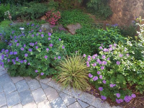 A garden outside Villa Tini