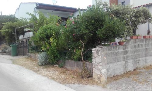 Galeri foto Apartmani Rosanda 2 di Petrcane