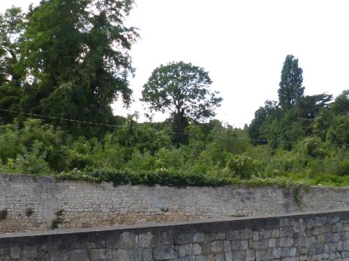 Foto de la galería de Vert Marin en Rochefort