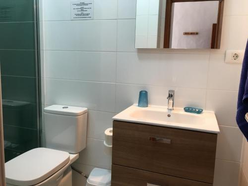 La petite salle de bains est pourvue de toilettes et d'un lavabo. dans l'établissement Los Morros, à Arrieta