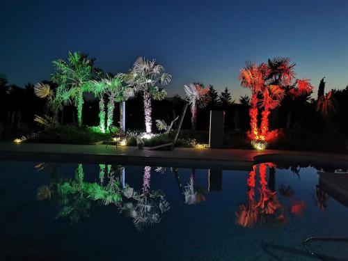 een zwembad met palmbomen verlicht in de nacht bij Casal Sant'Elena in Altopascio