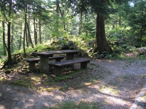 een houten picknicktafel in het midden van een bos bij Camping Pivka Jama Postojna in Postojna