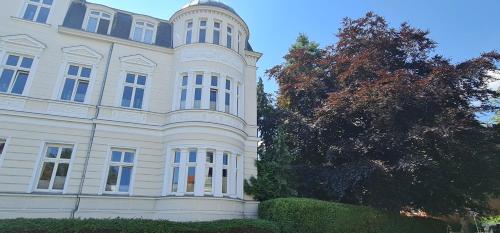 ein großes weißes Gebäude mit einem Baum davor in der Unterkunft Ferienwohnung in Villa in Stralsund