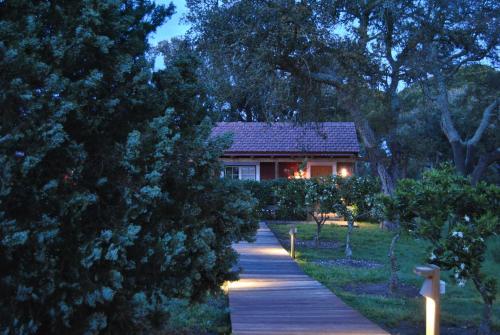 Herdade das Barradas da Serra tesisinin dışında bir bahçe