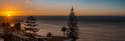 um pôr-do-sol sobre o oceano com uma palmeira em Roca Verde - Playa del Inglés em Playa del Inglés