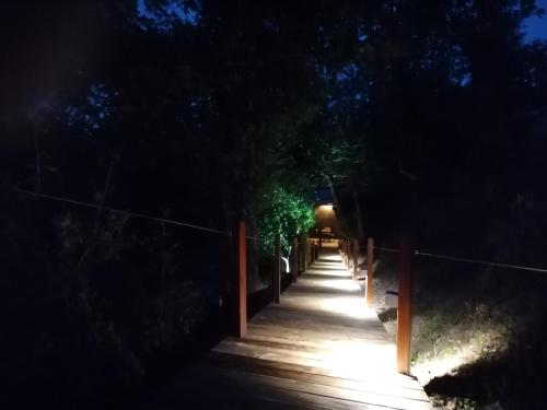 een houten pad met 's nachts licht bij Quinta Mata da Sé in Miranda do Corvo