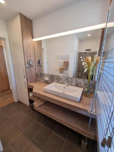 a bathroom with a sink and a mirror at Villa Ganzstein in Mürzzuschlag