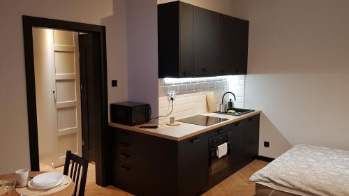 - une cuisine avec des placards noirs, un évier et un lit dans l'établissement Apartament Zamkowy, à Lublin