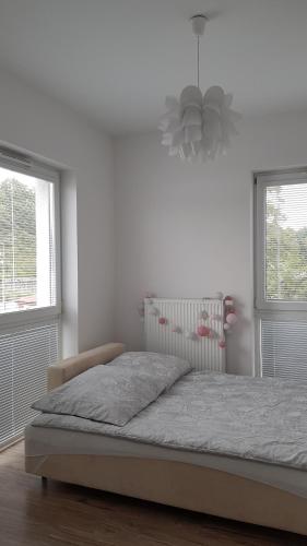 - une chambre avec un lit et 2 fenêtres dans l'établissement Apartament Zamkowy, à Lublin