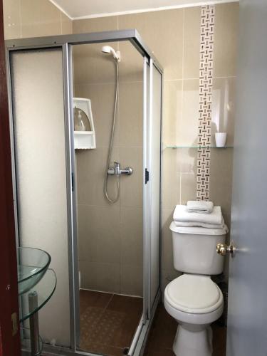 a bathroom with a toilet and a shower at Hostal Magnolio in Viña del Mar