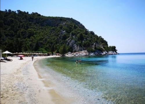 una spiaggia con una persona e un cane in acqua di Limnonari Beach Rooms a Skopelos Town