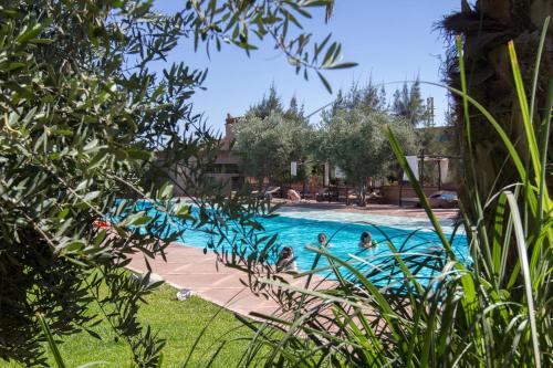 The swimming pool at or close to Manzil La Tortue