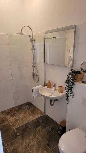 La salle de bains est pourvue d'un lavabo, d'une douche et de toilettes. dans l'établissement Hotel Kronprinz, à Emden