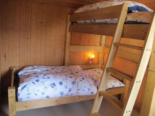 1 Schlafzimmer mit 2 Etagenbetten in einer Hütte in der Unterkunft Haus Tgamotsch***- Ferienwohnung in Valbella in Valbella