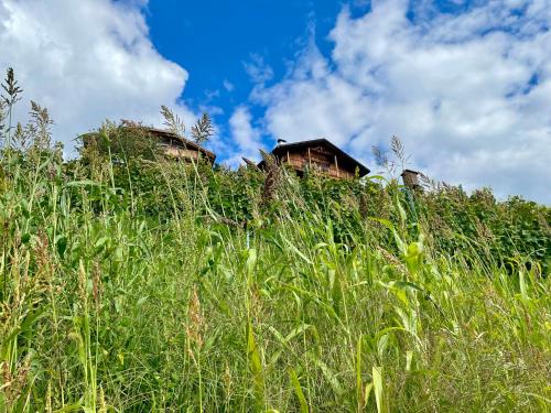 une maison au sommet d'une colline avec de l'herbe haute dans l'établissement Maso Fallmerayer - Fallmerayerhof, à Bressanone