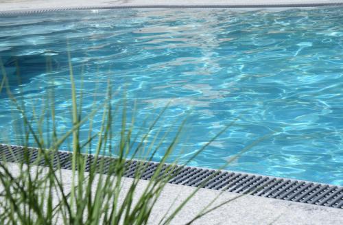 uma piscina azul com relva à frente em Rebenhof Schwalm em Herrnbaumgarten