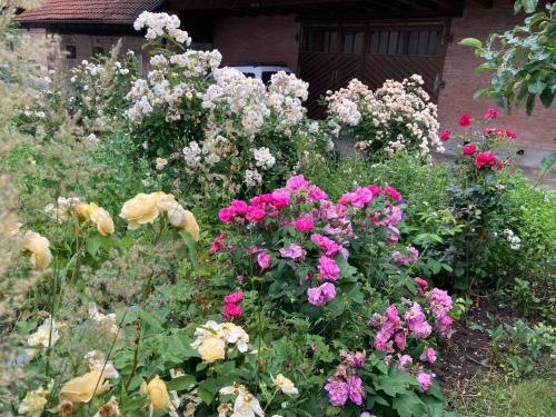 un jardín lleno de flores frente a un edificio en B&B Perron13, en Murten