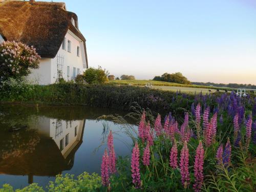 una casa y flores junto a un cuerpo de agua en Landhotel Kastanienallee Putbus, en Putbus