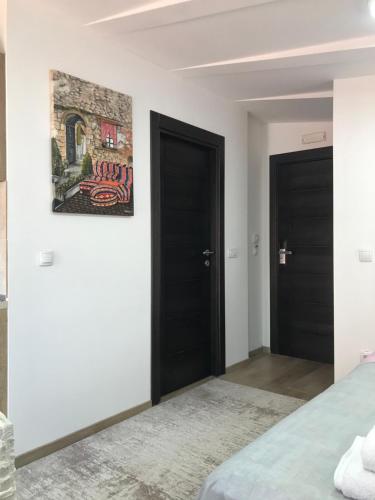 um quarto com duas portas pretas e uma pintura na parede em Centar Bruno em Novi Pazar