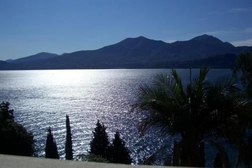 - une vue sur une grande étendue d'eau avec un palmier dans l'établissement Little Suite Near Lake, à Verbania