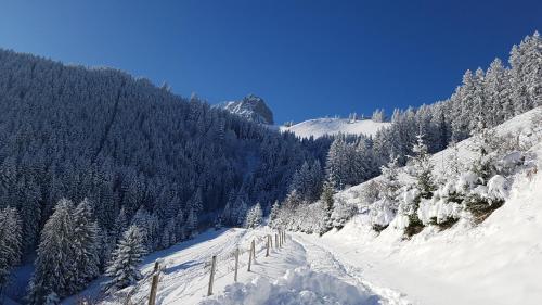 Charming chalet with panoramic view and private parking in Gruyère iarna