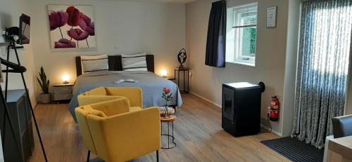 Voodi või voodid majutusasutuse Bed & Breakfast Stiens (nabij Leeuwarden) toas