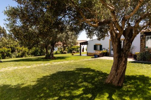 een boom in de tuin van een huis bij Monte Das Alpenduradas in Zambujeira do Mar