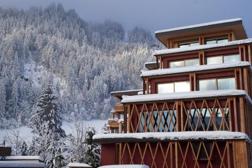 dom pokryty śniegiem z górą w tle w obiekcie MalisGarten Green Spa Hotel w mieście Zell am Ziller