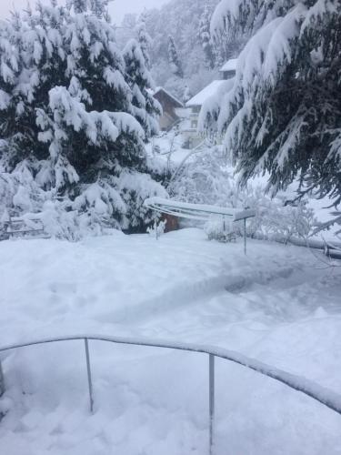 a yard covered in snow with a house in the background at Ferien am Wald in Baiersbronn