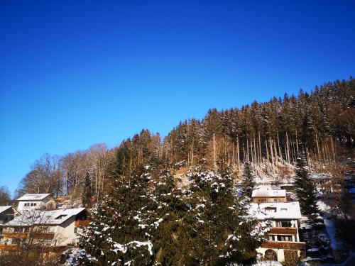 a snow covered mountain with houses and trees at Ferien am Wald in Baiersbronn