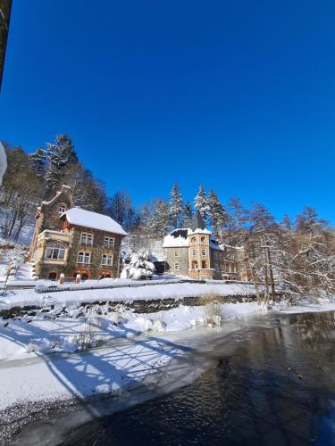 a group of buildings in the snow next to a river at Hotel Zur Luppbode in Treseburg