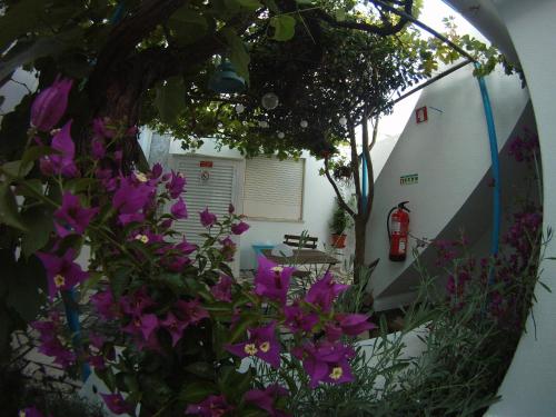 vistas a un jardín con flores púrpuras en Ahoy Porto Covo Hostel, en Porto Covo