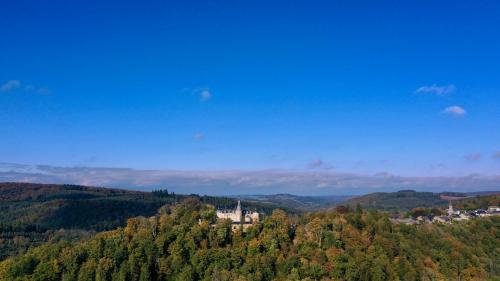 um castelo no meio de uma floresta de árvores em Le Château de Mirwart em Mirwart