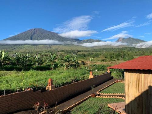 een tuin met uitzicht op een berg bij The Gate Rinjani in Sajang