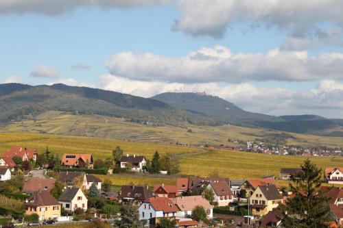 a village with houses and mountains in the background at Hôtel Restaurant Le Schlossberg in Zellenberg