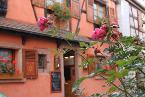 Gallery image of Hôtel Restaurant Le Schlossberg in Zellenberg