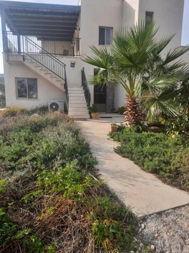 A garden outside מול הכנרת Over looking the Sea of Galilee