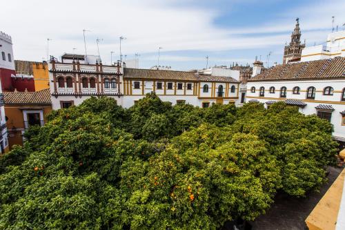 einen Blick auf die Stadt vom Dach eines Gebäudes in der Unterkunft Hotel Boutique Elvira Plaza in Sevilla