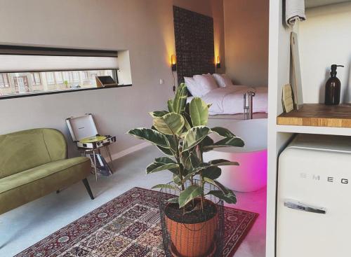 uma sala de estar com um vaso de plantas e um quarto em Home8 studio’s em Arnhem