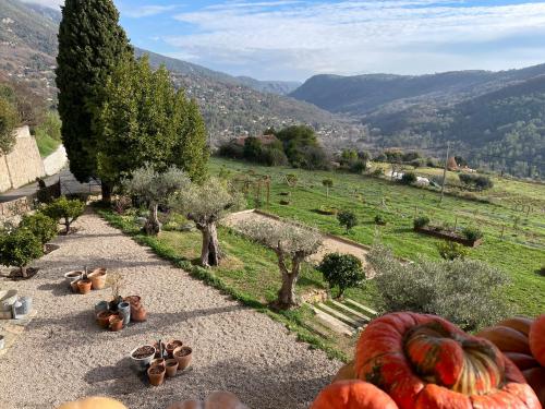 Φυσικό τοπίο κοντά σε αυτό το ξενοδοχείο