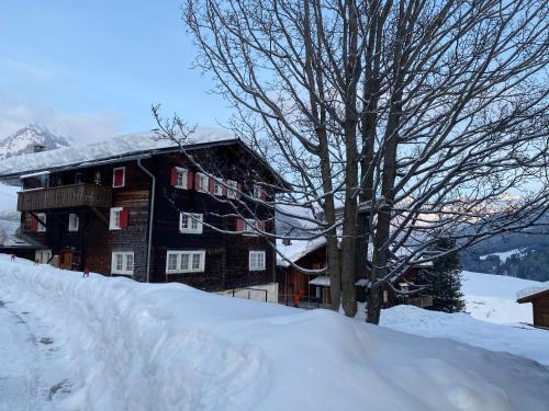 um edifício coberto de neve com uma árvore em frente em Tgesa Frena em Sedrun